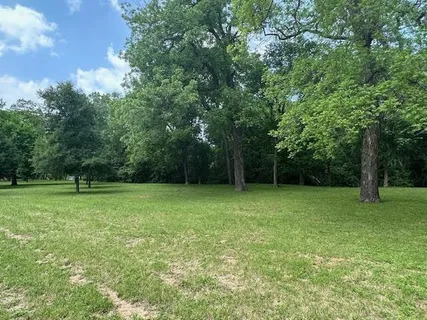 a view of a field with a tree