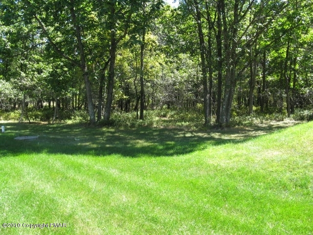 130 Gower Road Albrightsville, PA 18210 - Photo 5 of 17 Yard3