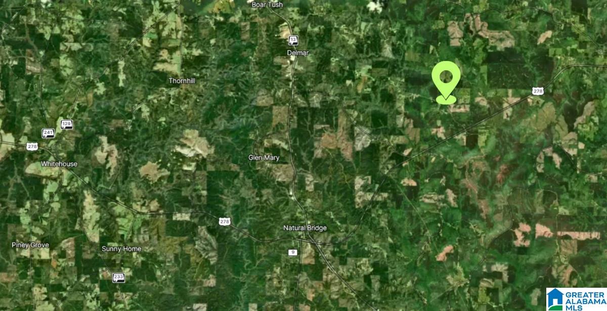 20 County Road Haleyville, AL 35565 - Photo 5 of 17