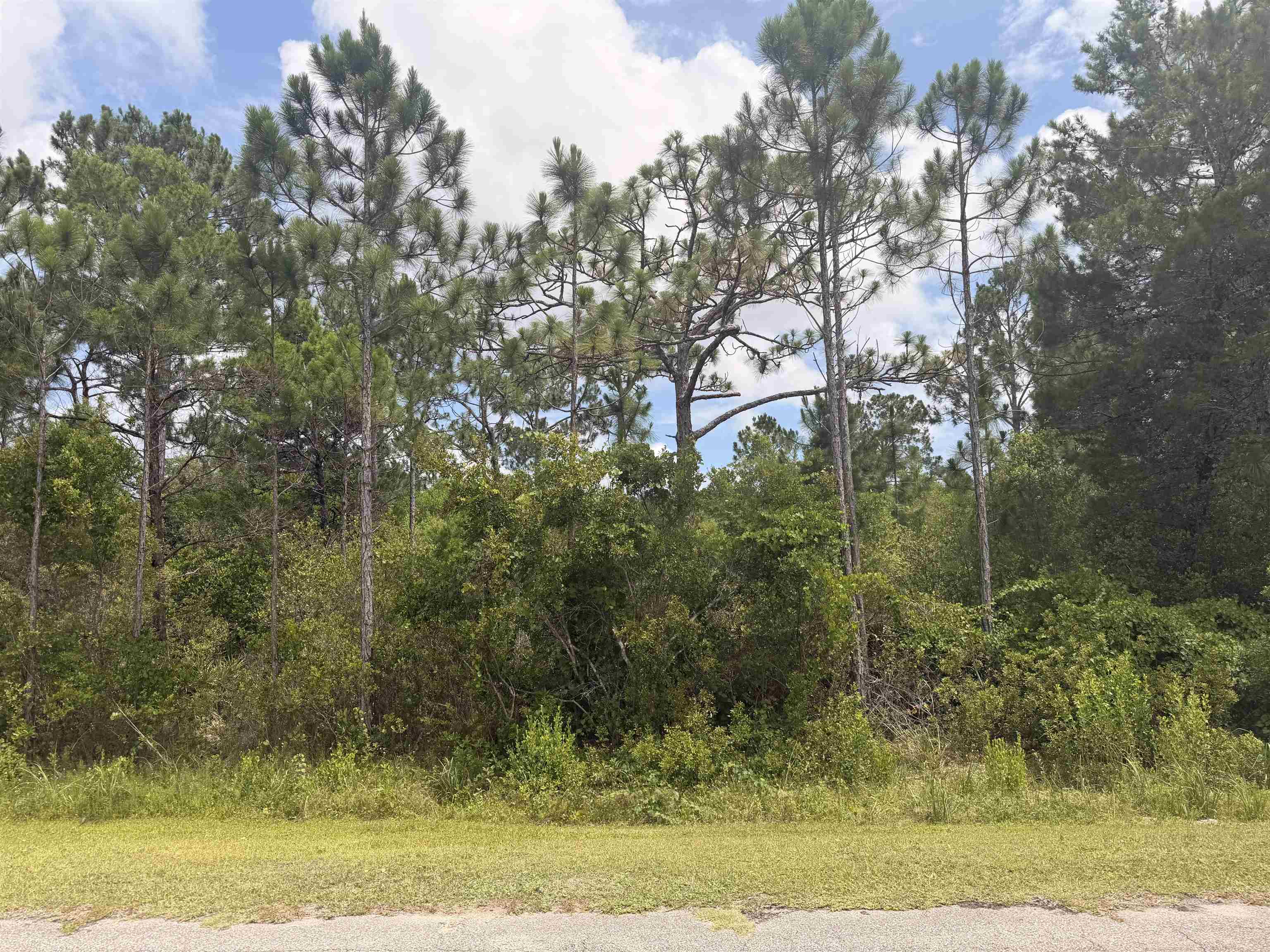 710 Timber Ridge Court, Unit 3 & 4 Eastpoint, FL 32328 - Photo 2 of 4