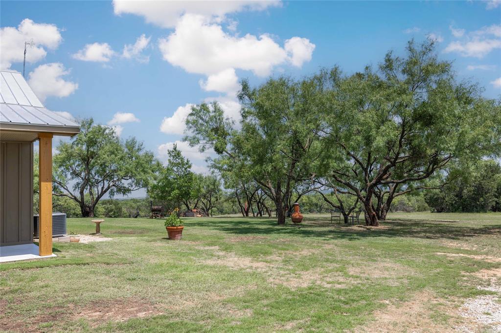 11253 County Road 525 May, TX 76857 - Photo 36 of 40 a view of yard with tree