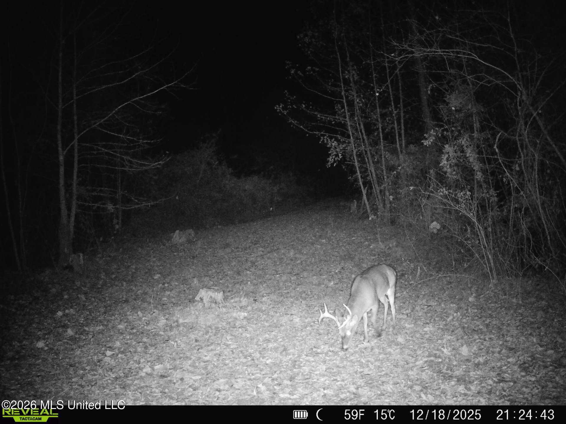 Pam Road Aimwell, LA 71401 - Photo 35 of 38 IMG_5395