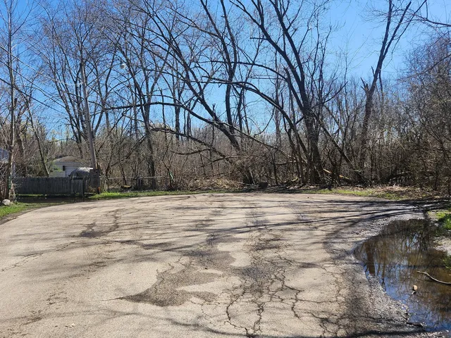 a view of large space with large trees