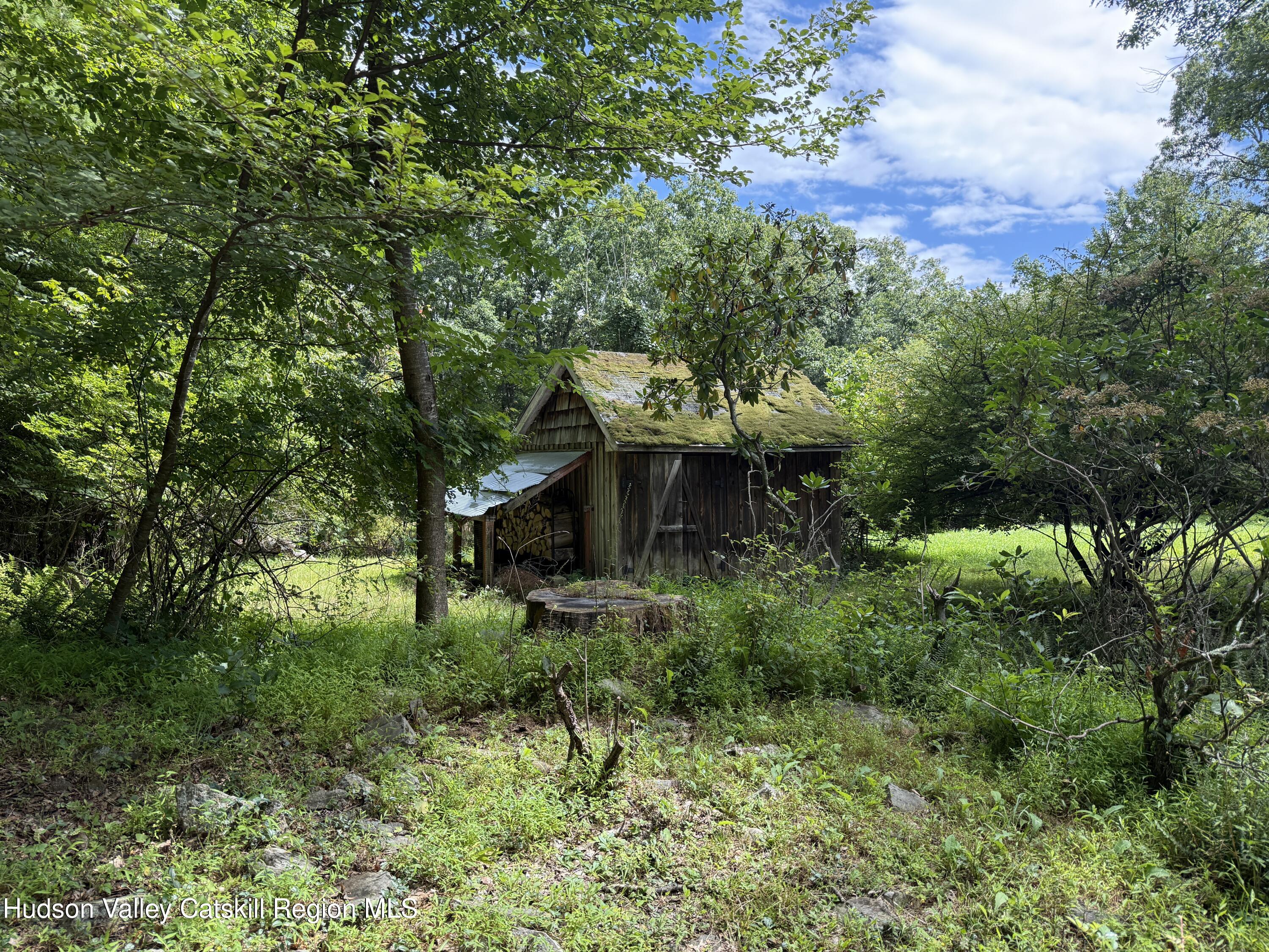 35 Crispell Road Olivebridge, NY 12461 - Photo 31 of 39 31IMG_4363 shed