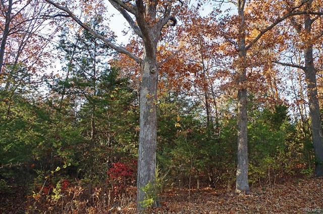 0 Hunn Foristell, MO 63348 - Photo 2 of 27