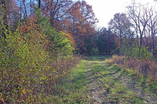 0 Hunn Foristell, MO 63348 - Photo 11 of 27