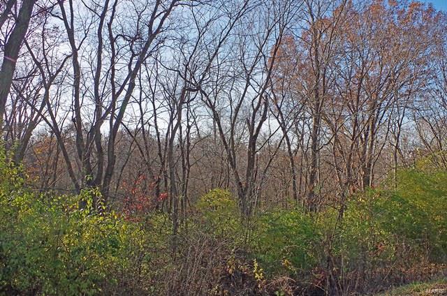 0 Hunn Foristell, MO 63348 - Photo 14 of 27