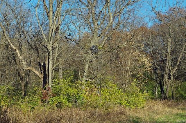 0 Hunn Foristell, MO 63348 - Photo 16 of 27