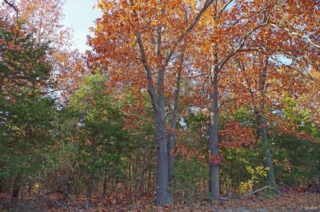 0 Hunn Foristell, MO 63348 - Photo 20 of 27