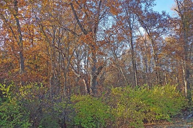 0 Hunn Foristell, MO 63348 - Photo 21 of 27