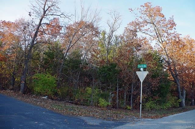 0 Hunn Foristell, MO 63348 - Photo 24 of 27