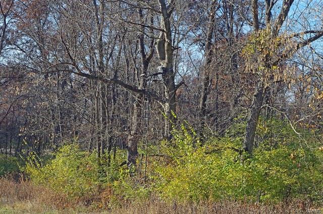 0 Hunn Foristell, MO 63348 - Photo 6 of 27