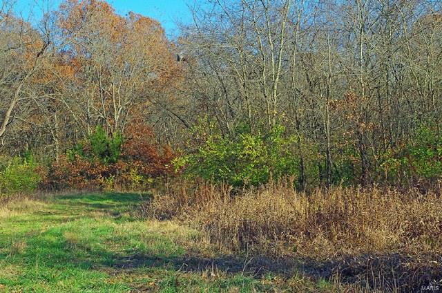 0 Hunn Foristell, MO 63348 - Photo 8 of 27