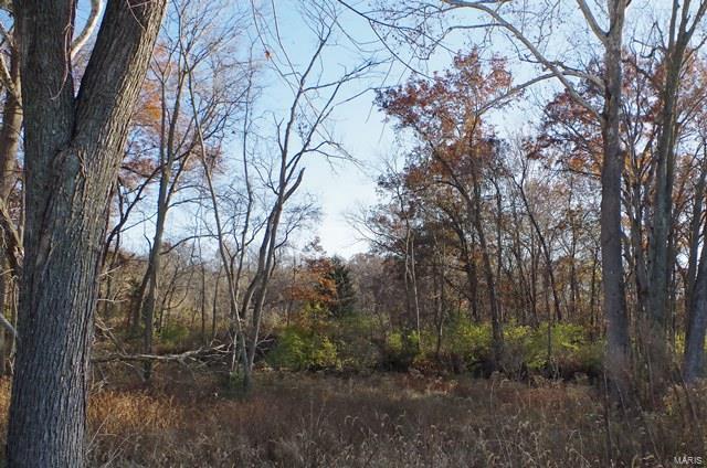 0 Hunn Foristell, MO 63348 - Photo 10 of 27
