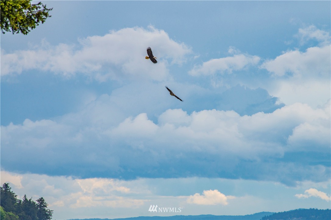 6924 Sills Road Clinton, WA 98236 - Photo 6 of 25 a view of a small space