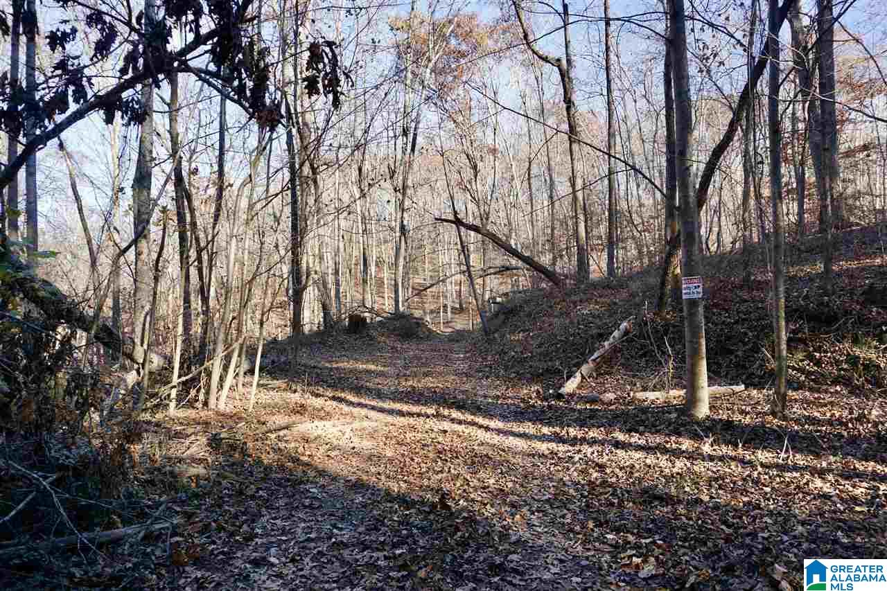 0 Whites Gap Road Jacksonville, AL 36265 - Photo 12 of 31