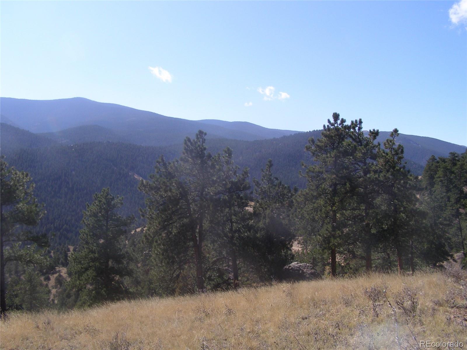Fool's Gold Road Idaho Springs, CO 80452 - Photo 17 of 21 Gallery Image 17