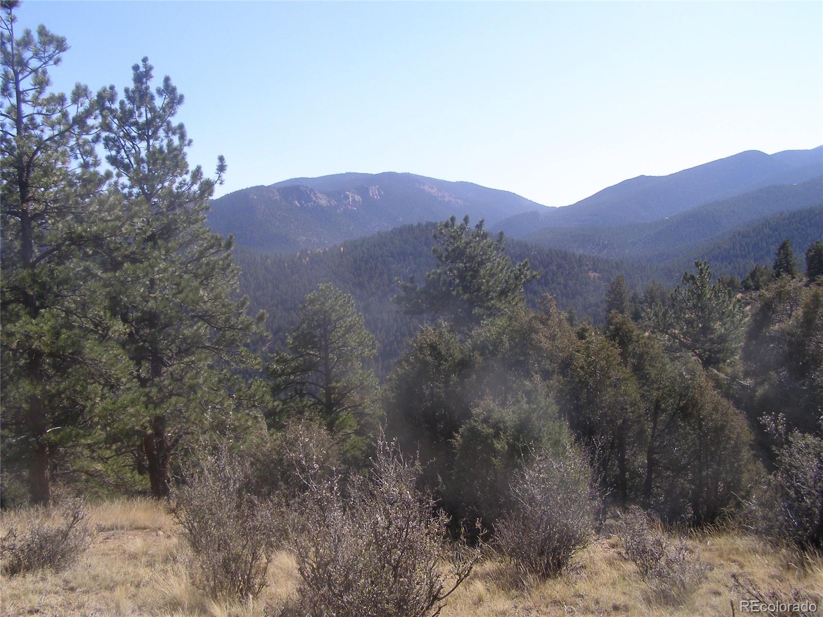 Fool's Gold Road Idaho Springs, CO 80452 - Photo 20 of 21 Gallery Image 20