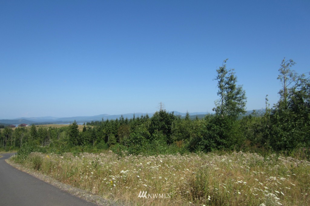 11 Silver Ridge Castle Rock, WA 98611 - Photo 1 of 1 Gallery Image 1