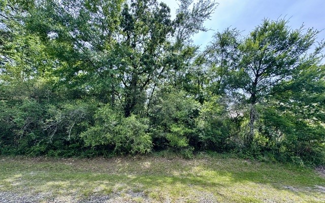 Tbd005 Molitar Trinity, TX 75862 - Photo 2 of 5 a view of backyard with green space