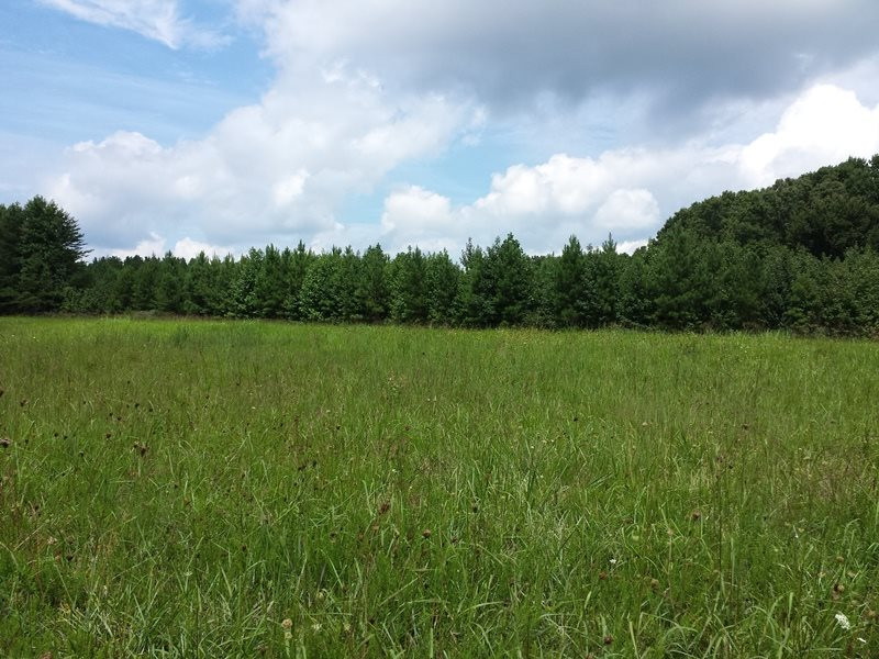 Yarborough Mill Road Semora, NC 27343 - Photo 1 of 4 Photo 1