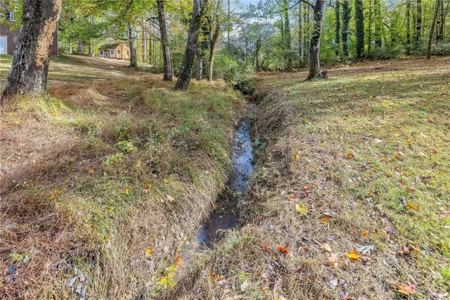 an aerial view of forest
