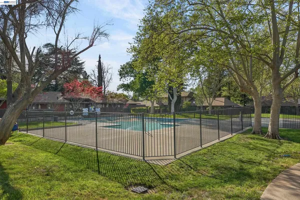 a view of a backyard with large trees