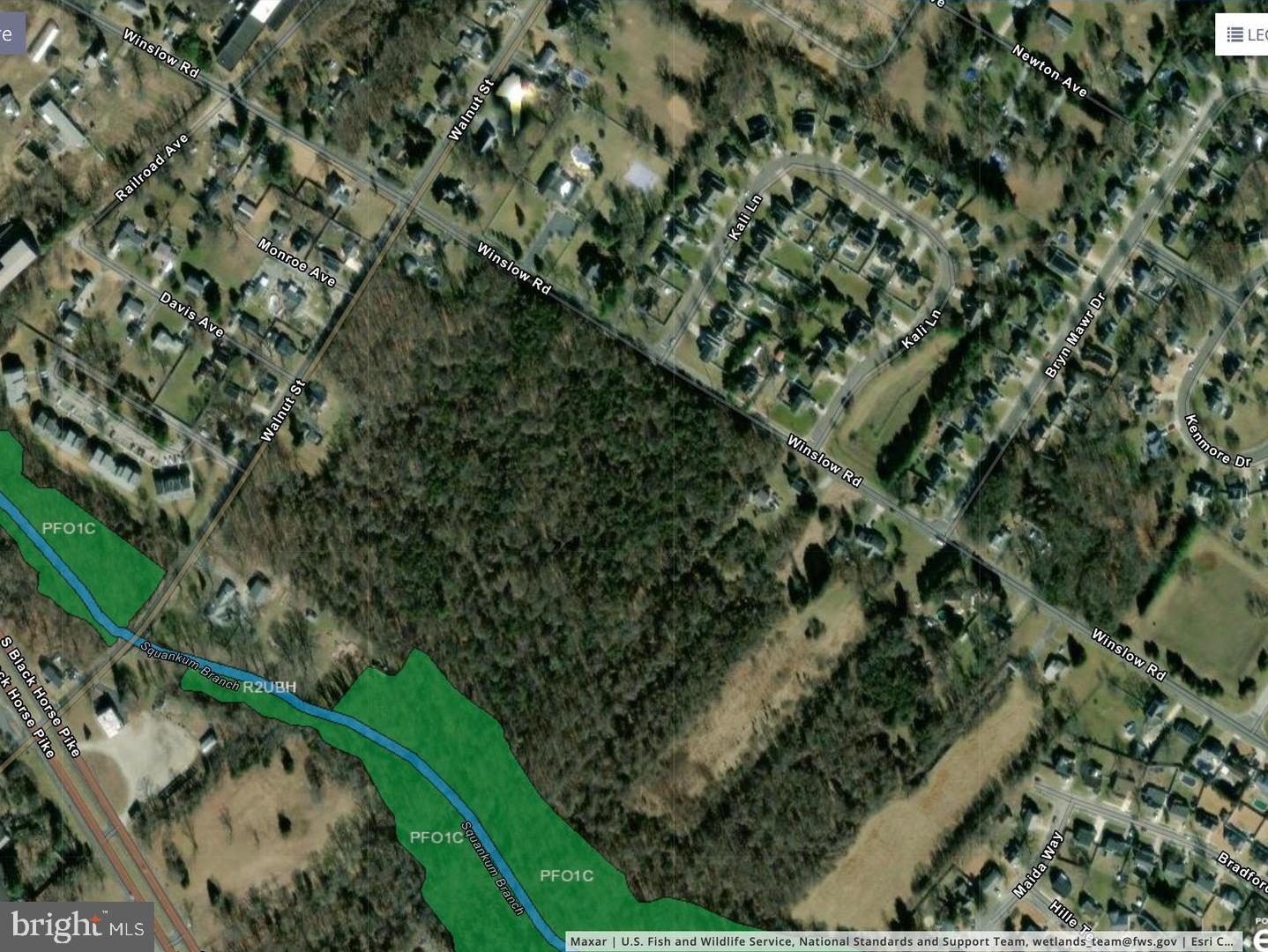 0 Walnut Street Williamstown, NJ 08094 - Photo 2 of 2 a view of a yard with a tree