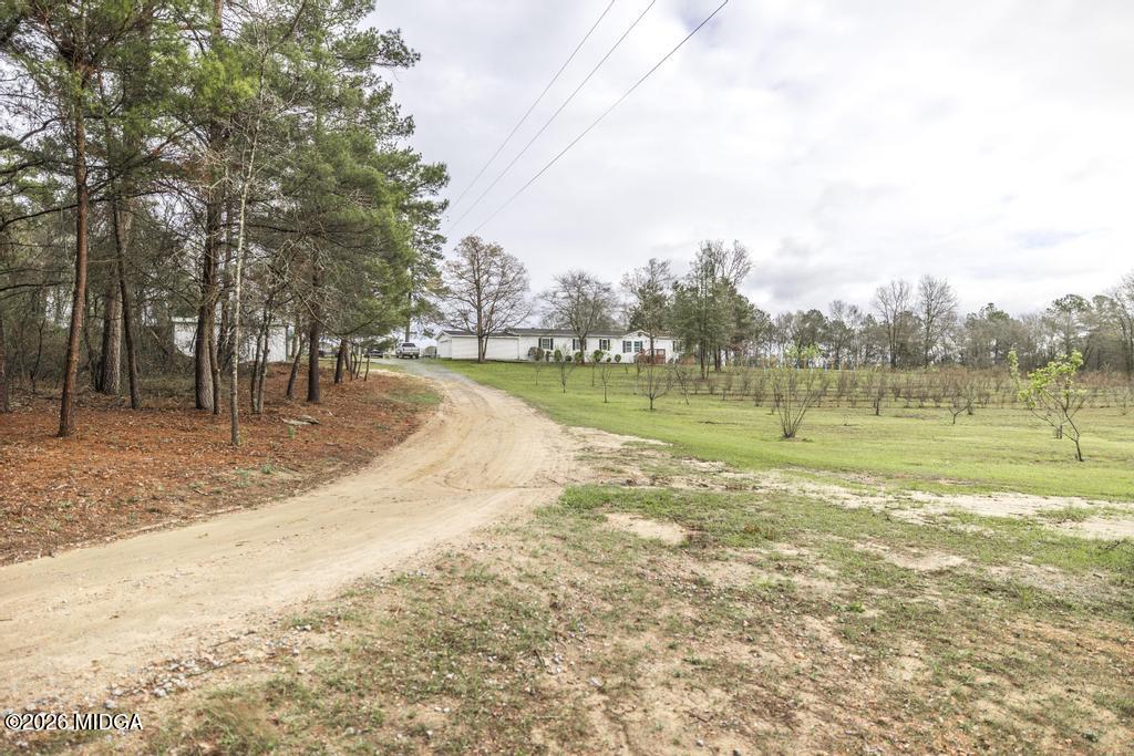 319 Pope Road Roberta, GA 31078 - Photo 2 of 42 a view of a park with large trees