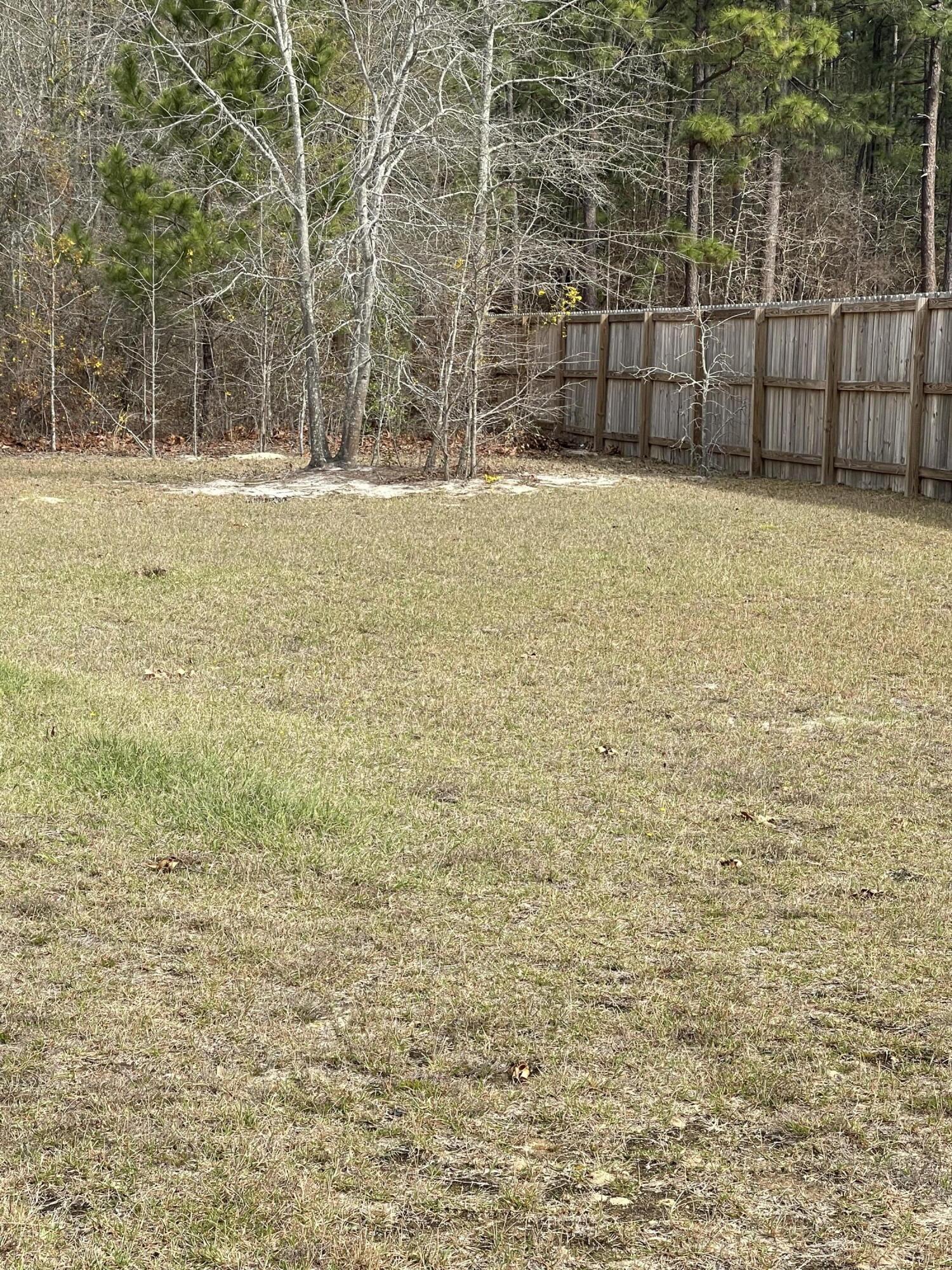 1424 Oxpens Road Warrenville, SC 29851 - Photo 24 of 25