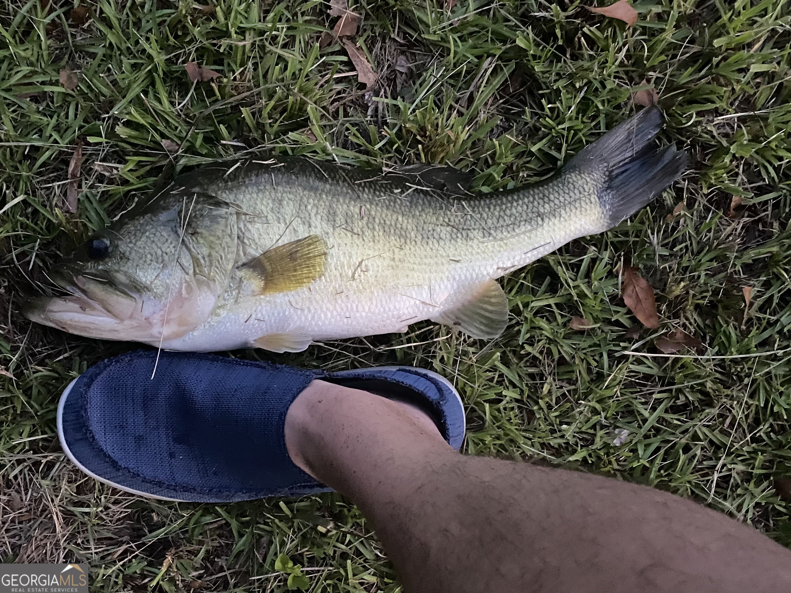 1448 Bohannon Road Grantville, GA 30220 - Photo 54 of 61 Bass caught in lake on the property
