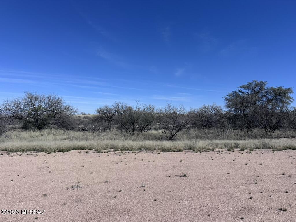 1629 South Whaley Road Benson, AZ 85602 - Photo 9 of 15 A9B8A85C-6645-42B7-9C77-28C5D8DD2204_1_1