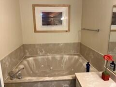 351 2nd Avenue South, Unit 707 Ketchum, ID 83340 - Photo 4 of 6 Jetted Tub
