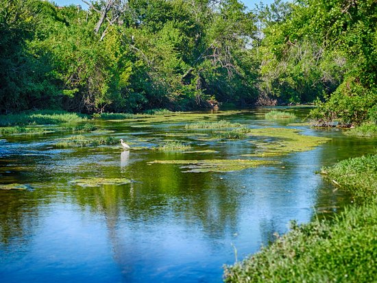 1412 Paxton Lane Georgetown, TX 78633 - Photo 12 of 14 a view of a lake view
