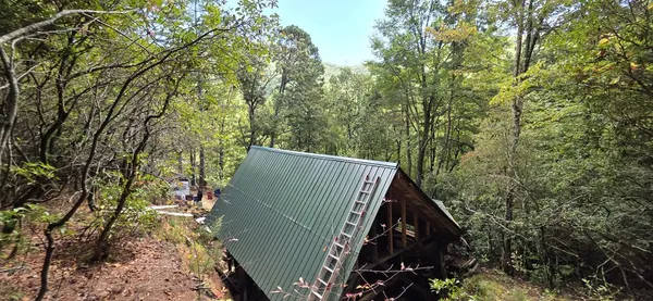 a view of a backyard