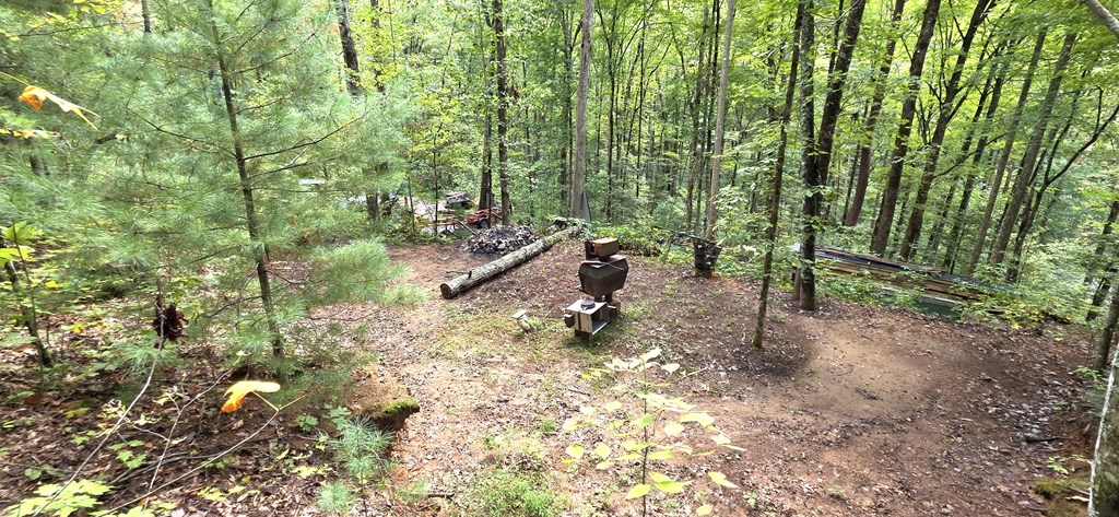 595 Horton Road Murphy, NC 28906 - Photo 8 of 11 PAD W/ SEPTIC