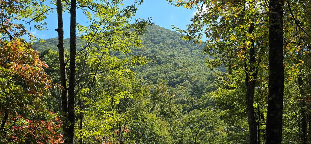 595 Horton Road Murphy, NC 28906 - Photo 10 of 11 NOUNTAIN VIEW