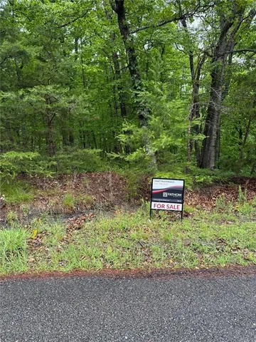 a big yard with lots of green space