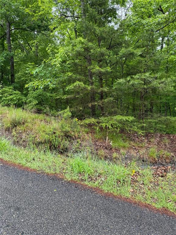 1275 Foxhound Trail Northeast Ranger, GA 30734 - Photo 5 of 8 a big yard with lots of green space