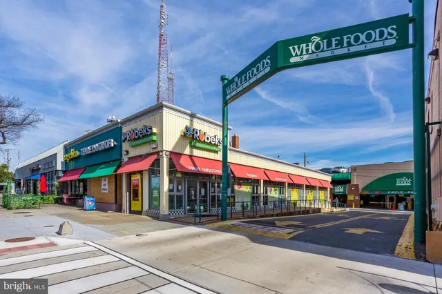 an outdoor space with lots of palm trees