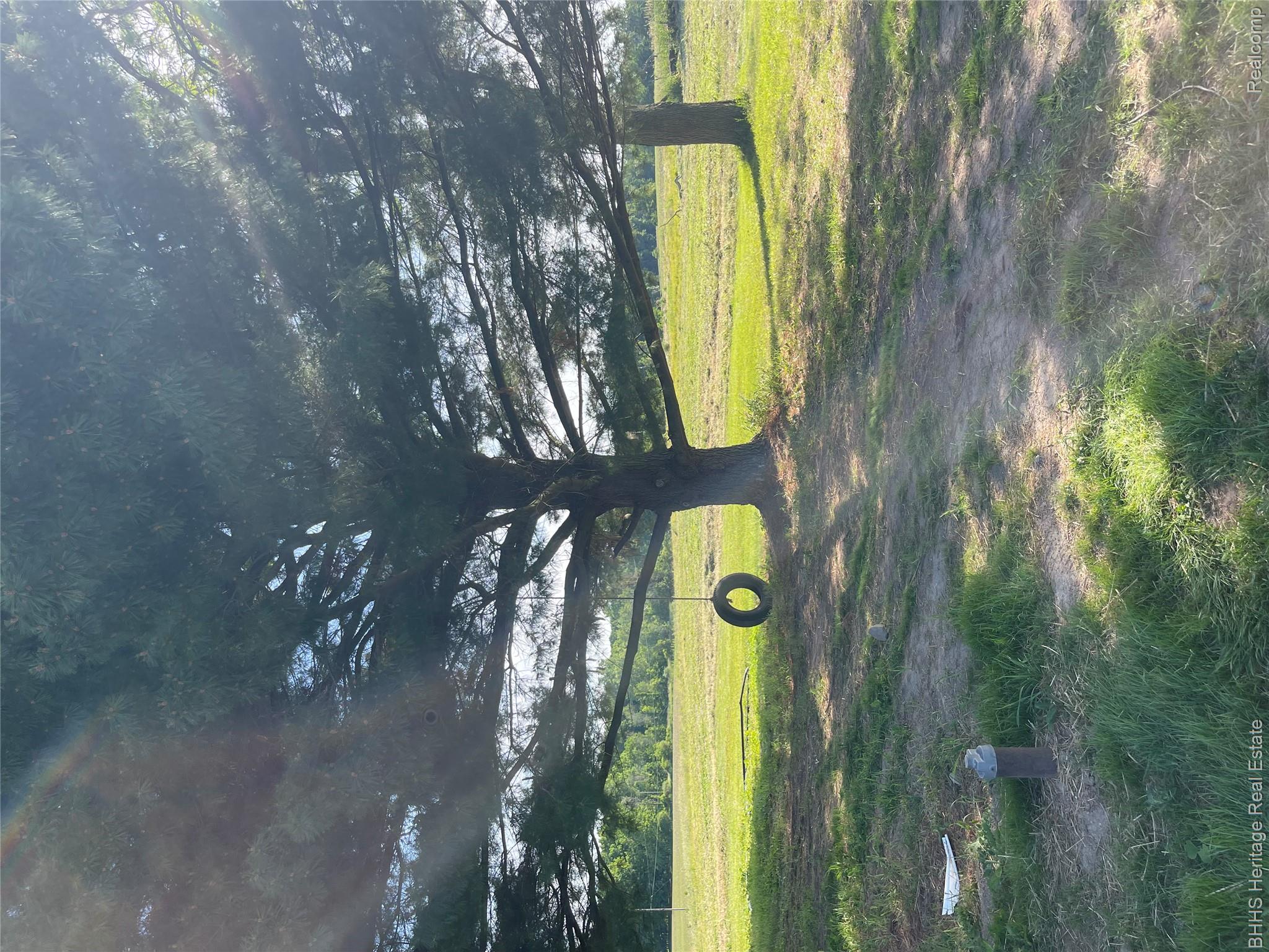 5435 Byron Road Howell, MI 48855 - Photo 29 of 30 tire swing