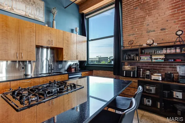 $300,000 | 901 Washington Avenue, Unit 309, St. Louis, MO 63101