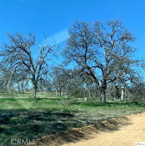 0 Monroe Street Red Bluff, CA 96080 - Photo 11 of 13 a green field with lots of trees