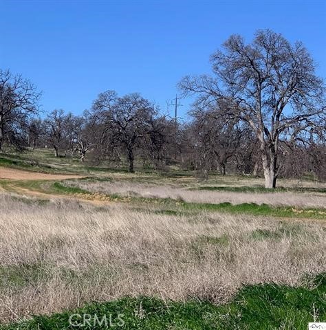 0 Monroe Street Red Bluff, CA 96080 - Photo 12 of 13 a view of dirt field with trees in background