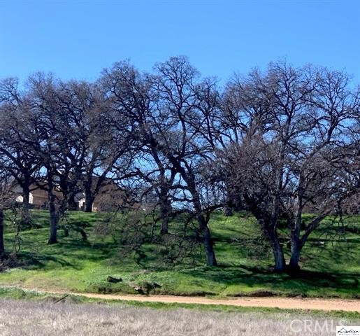 0 Monroe Street Red Bluff, CA 96080 - Photo 8 of 13 a backyard of a house with lots of green space