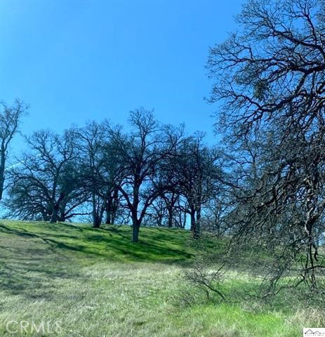 0 Monroe Street Red Bluff, CA 96080 - Photo 10 of 13
