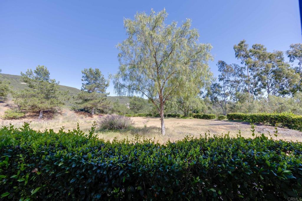 7635 Little Creek Road San Marcos, CA 92078 - Photo 39 of 48 a view of a yard with trees