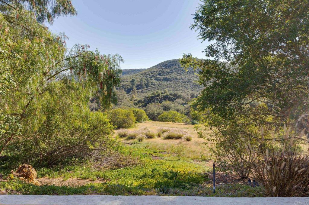 7635 Little Creek Road San Marcos, CA 92078 - Photo 40 of 48 a view of a yard