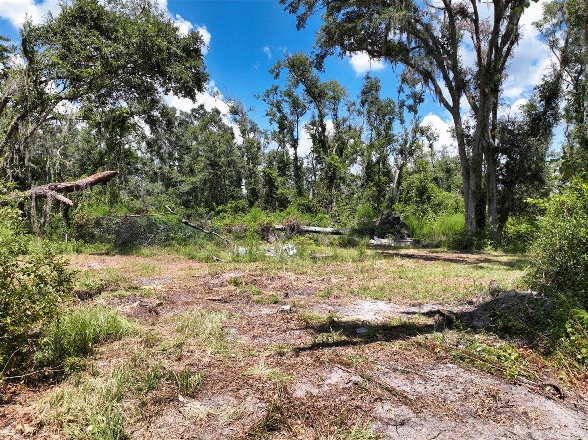 5582 H P Red Padgett Road Perry, FL 32348 - Photo 5 of 12