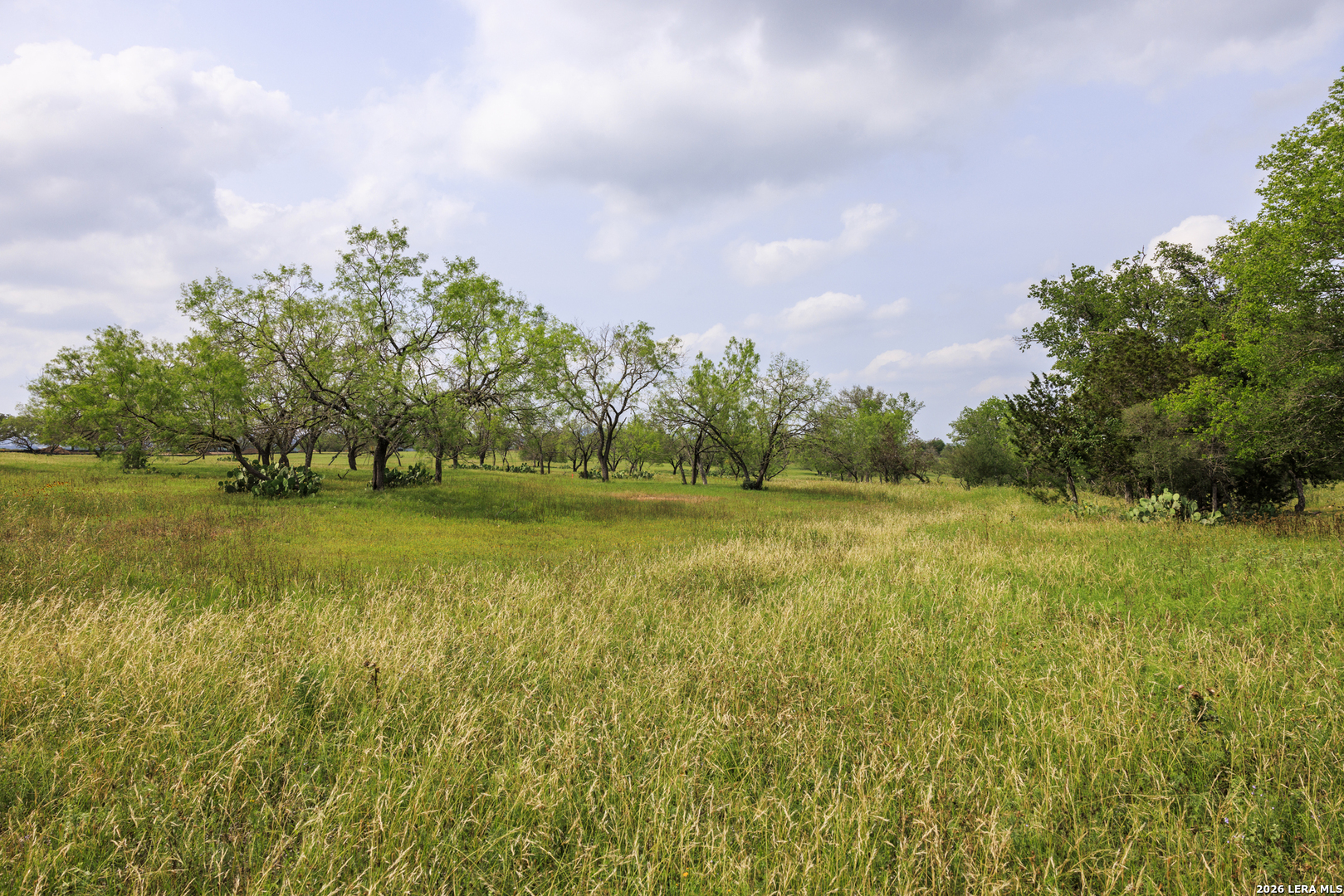 0 Clearwater Ranches 6 Comfort, TX 78013 - Photo 12 of 15